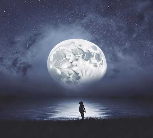 夜幕低垂，第七章篇章，歌词情感与哲思的奥秘探寻